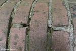Het metselwerk verkeert in slechte staat.
<br/>
Corrie Groen- Pickhard, 2015-06-18